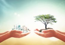 Sustainable Sustainability